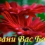 Ты даёшь нам сегодня свободу...