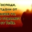 Я знаю Бог, что Ты живой...